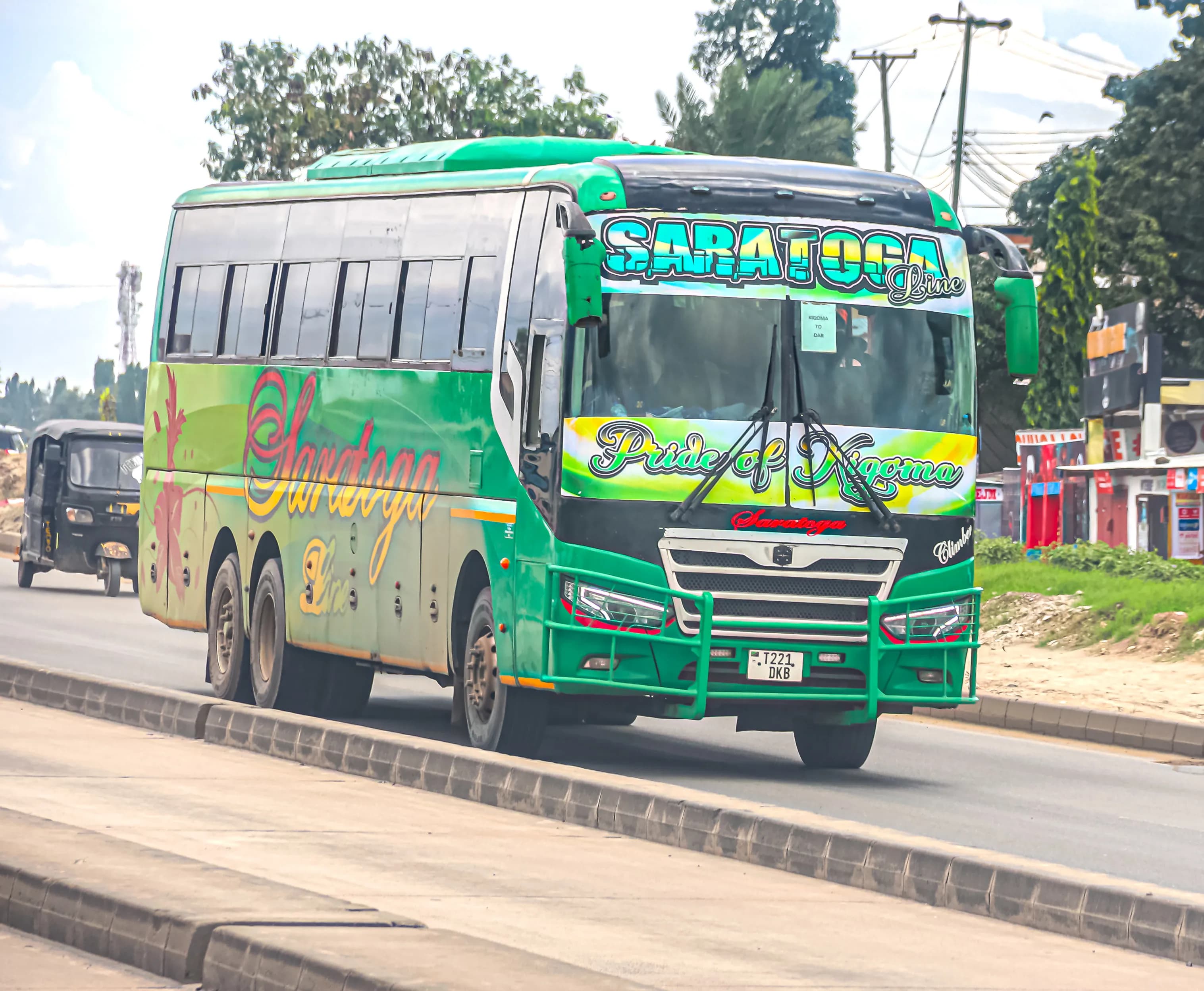 Viti vya starehe vya Saratoga